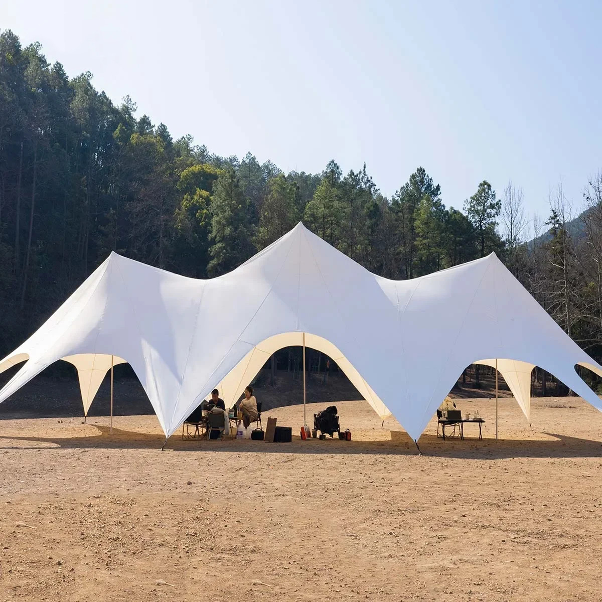 Star Canopy Tent 900D Oxford C - Outdoor Camping Gazebo 评论和价格