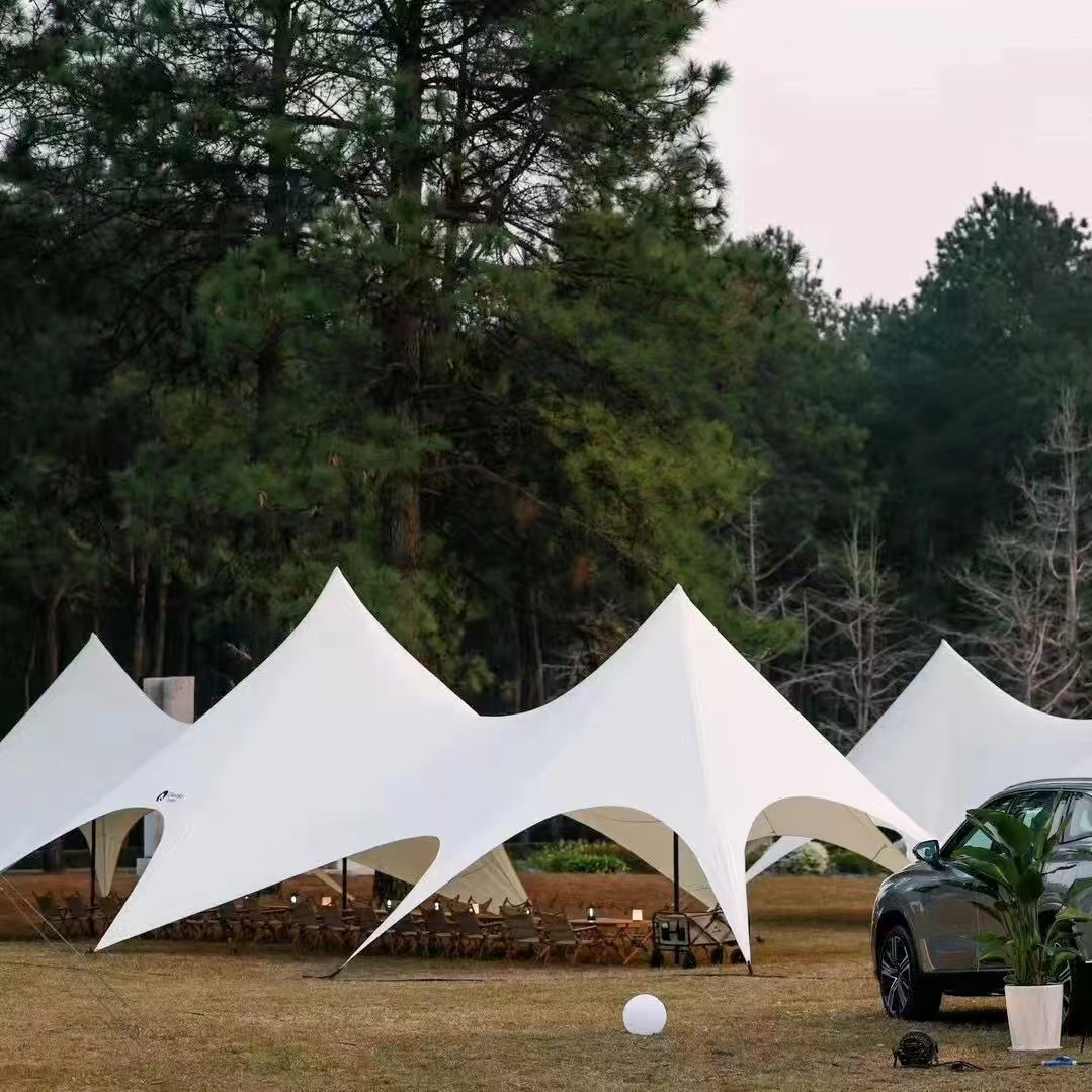 Star Canopy Tent 900D Oxford C - Outdoor Camping Gazebo 评论和价格