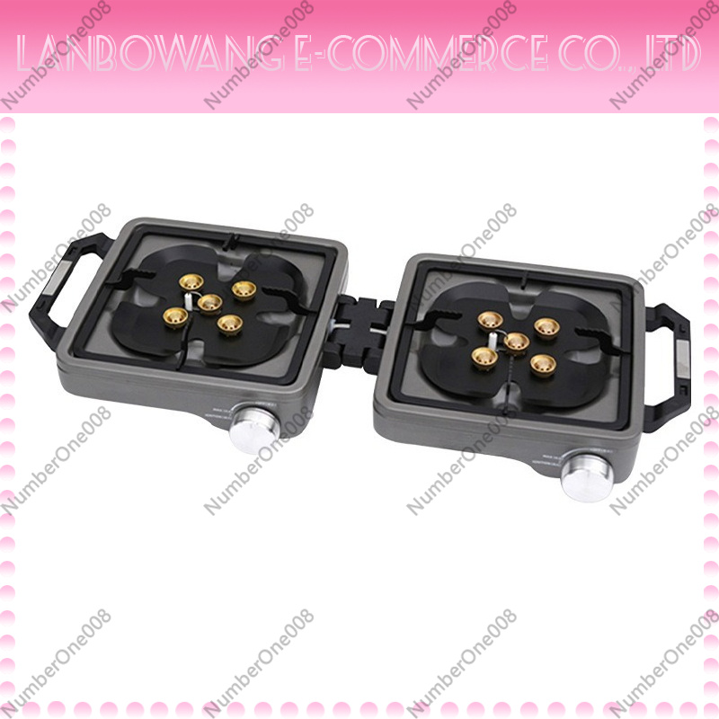 Outdoor Dual Burner High Power - Outdoor Camping Gas Stove 评论和价格