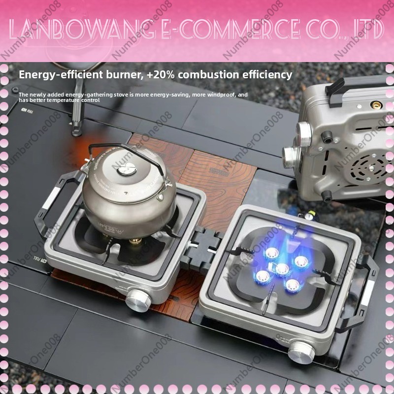 Outdoor Dual Burner High Power - Outdoor Camping Gas Stove 评论和价格