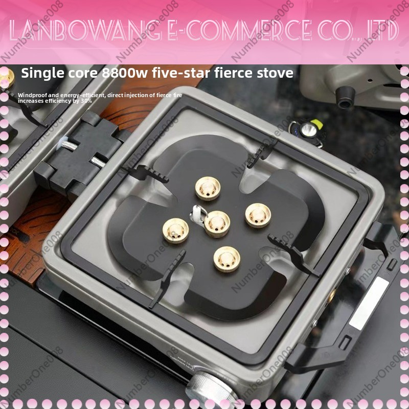 Outdoor Dual Burner High Power - Outdoor Camping Gas Stove 评论和价格