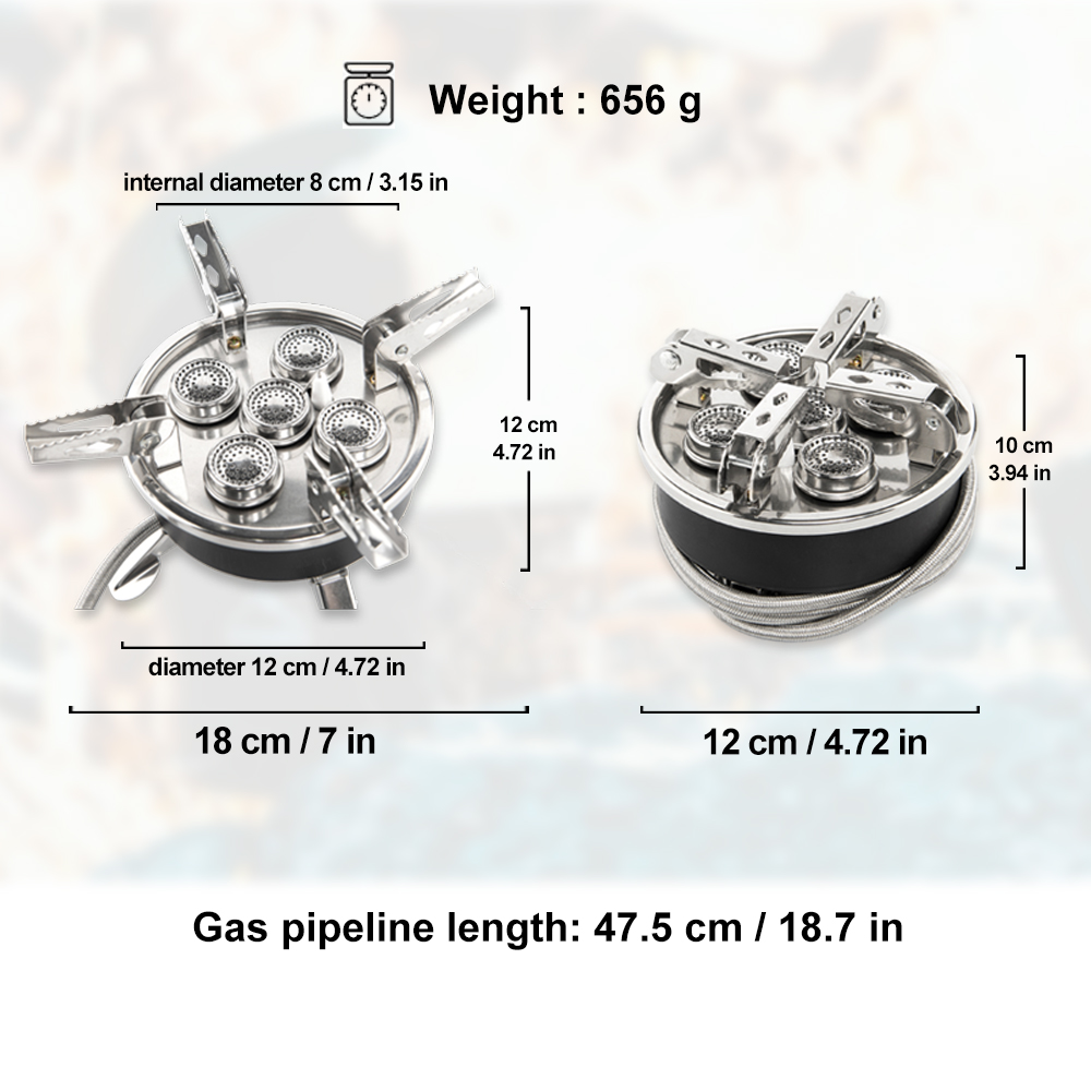 Widesea Camping 8800W Gas Stov - Outdoor Gas Camping Oven 评论和价格