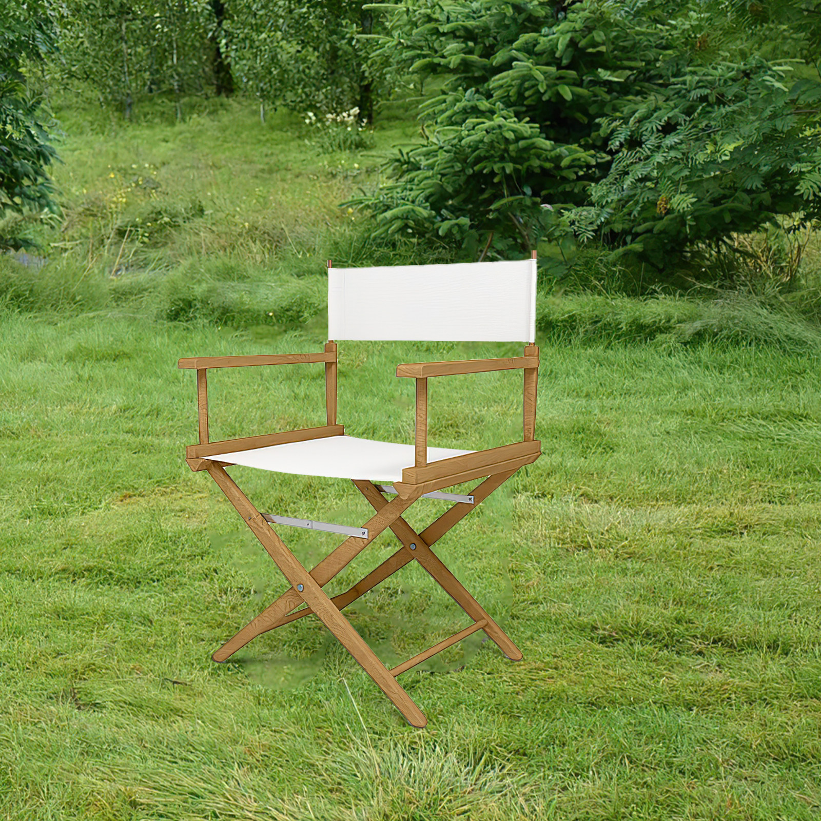 Folding Chair Seat Replacement - Outdoor Camping Movies 评论和价格
