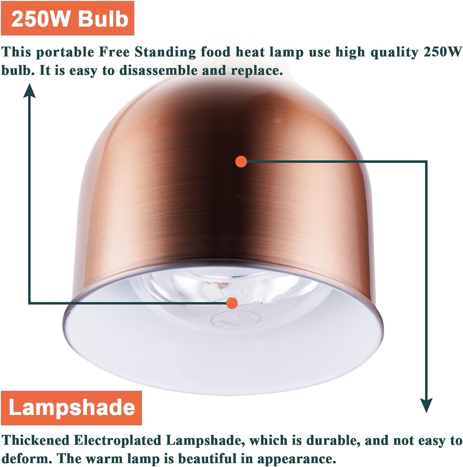 Silver Single Head Food Warmer - Headlamp 评论和价格