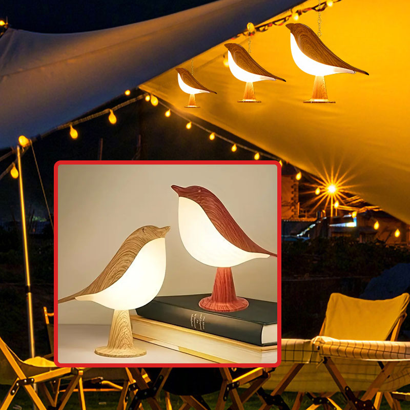 Camping Portable Night Lights  - Outdoor Camping Glamping Share 评论和价格